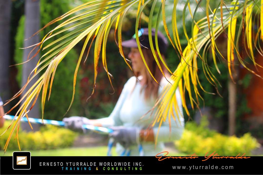 Bogotá - Colombia Talleres de Cuerdas | Taller de Trabajo en Equipo para Empresas